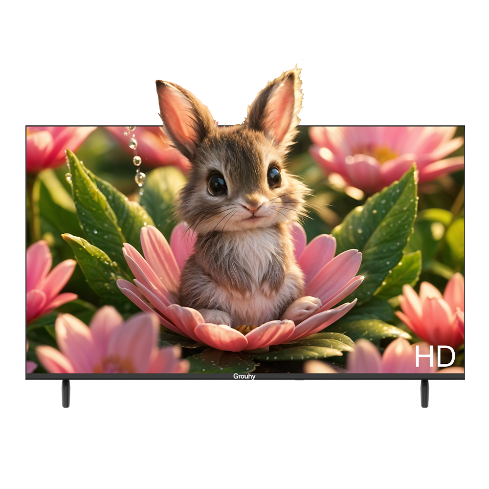 Grouhy 32 Inch LED HD TV Frameless - GLD32NAV2