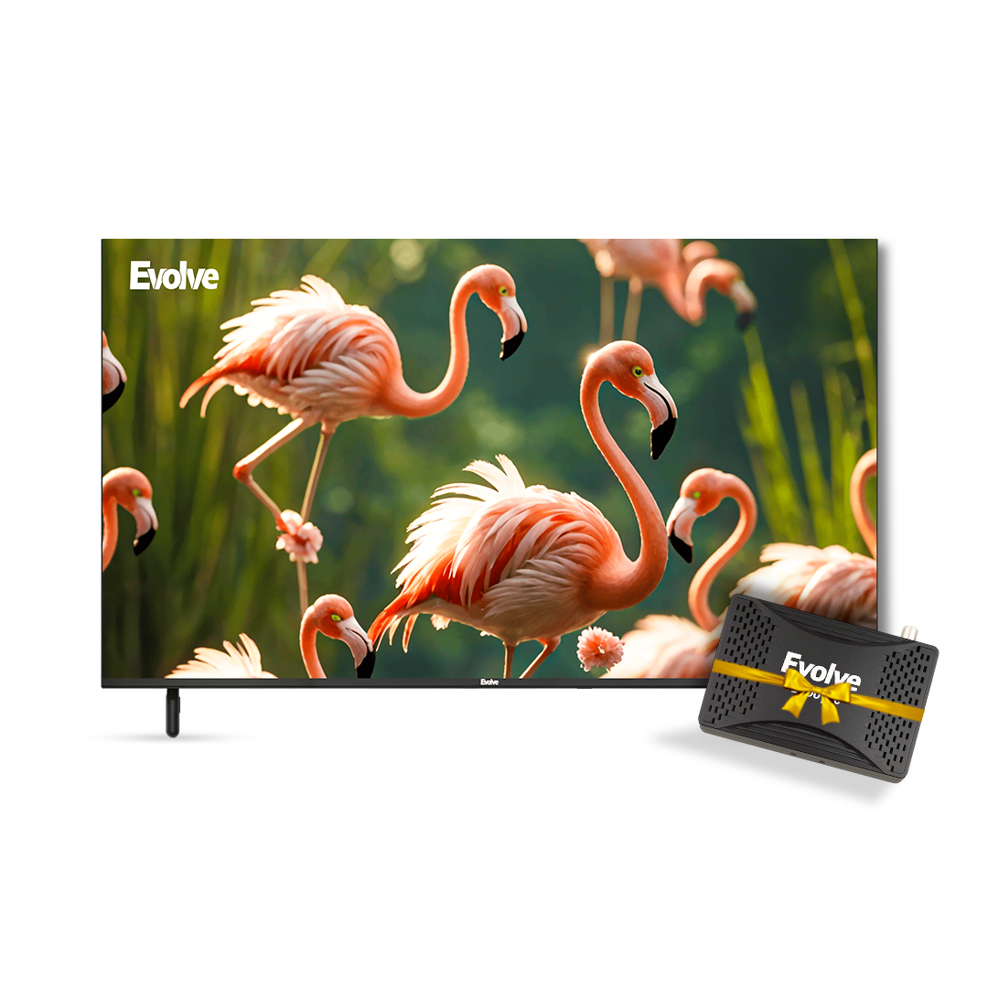 تلفزيون إيفولف LED مقاس 43 بوصة بدون إطار - VLD43NAV2 + رسيفر إيفولف ميني Full HD - أسود - Evolve 2000 Pro
